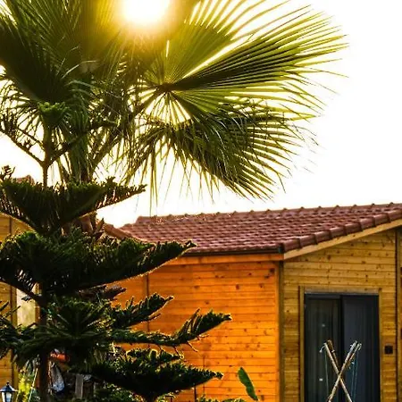 Lemon Garden Oda ve Kahvaltı Çıralı