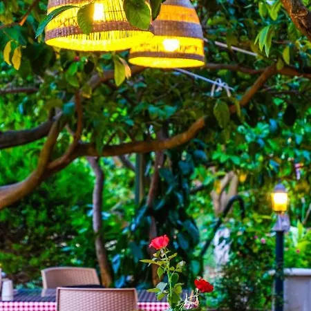 Oda ve Kahvaltı Lemon Garden