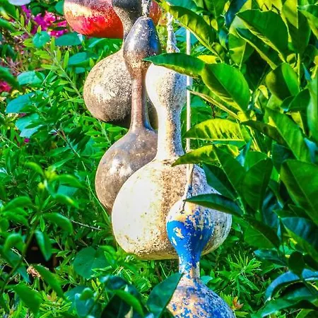 Oda ve Kahvaltı Lemon Garden Çıralı