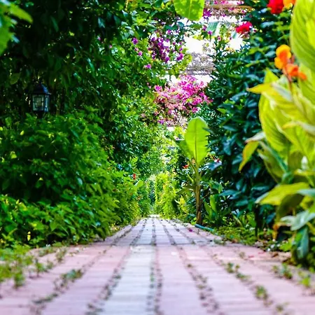 Oda ve Kahvaltı Lemon Garden Çıralı