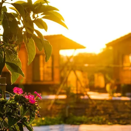 Oda ve Kahvaltı Lemon Garden