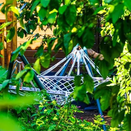 Lemon Garden