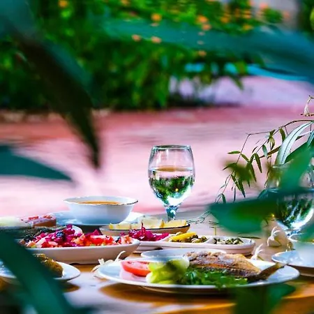 Lemon Garden 2*