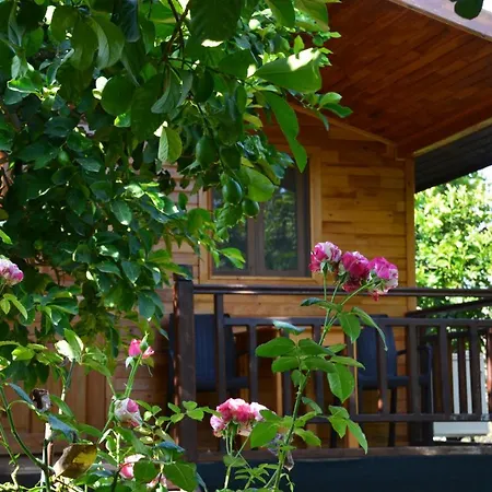 Lemon Garden Oda ve Kahvaltı 2*