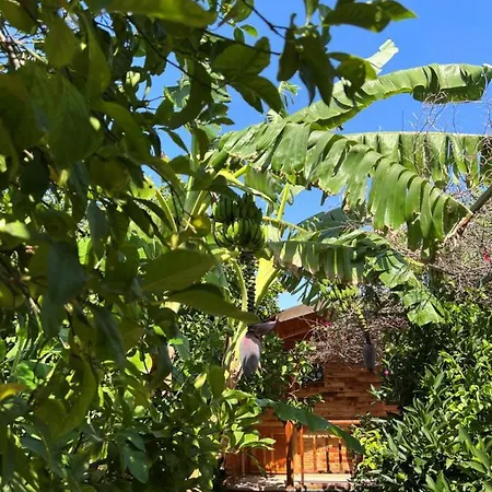 Lemon Garden Oda ve Kahvaltı 2*
