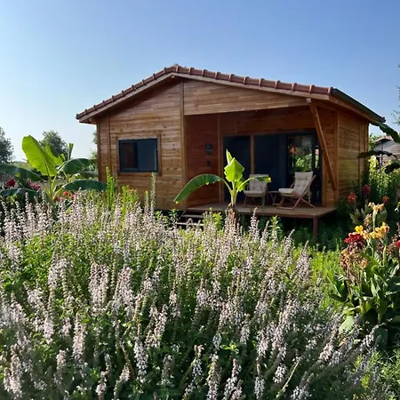 Lemon Garden Çıralı