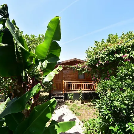 Lemon Garden 2* Çıralı
