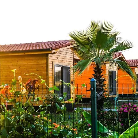 Lemon Garden Bed & Breakfast 2*