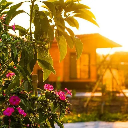 Bed & Breakfast Lemon Garden