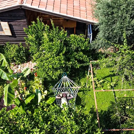 Lemon Garden Çıralı
