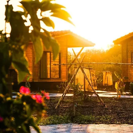 Bed & Breakfast Lemon Garden Çıralı