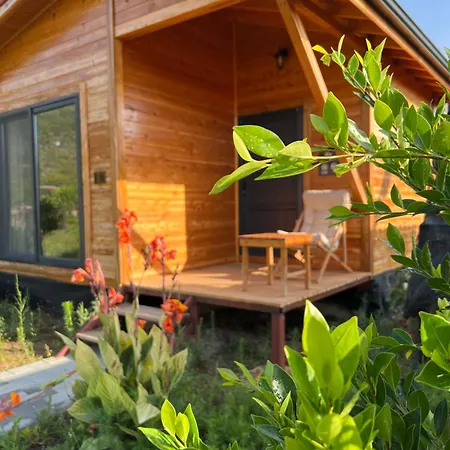 Lemon Garden Bed & Breakfast 2*