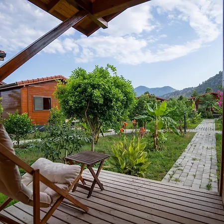 Bed & Breakfast Lemon Garden